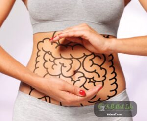 gut health