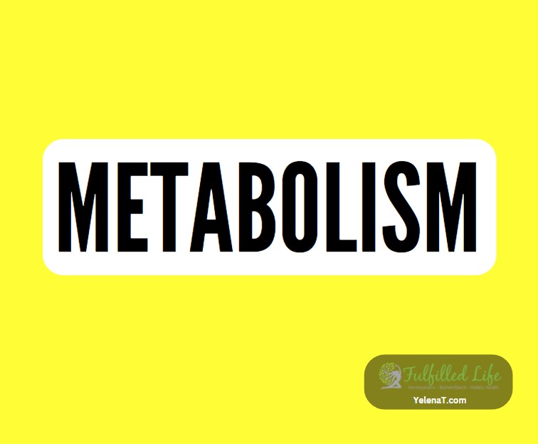 metabolism