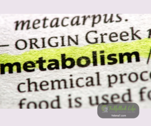Metabolic Signaling and Its Impact on Weight Loss