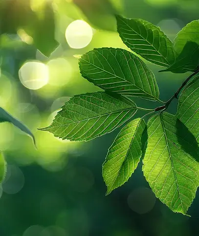 slider_image3