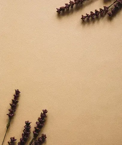 slider_image4