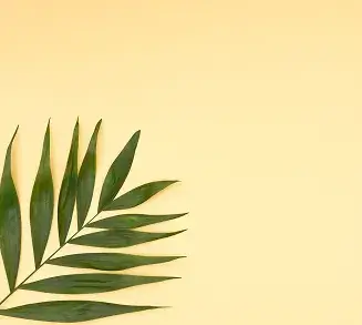 slider_image_s3
