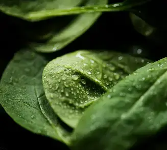 slider_image_s4