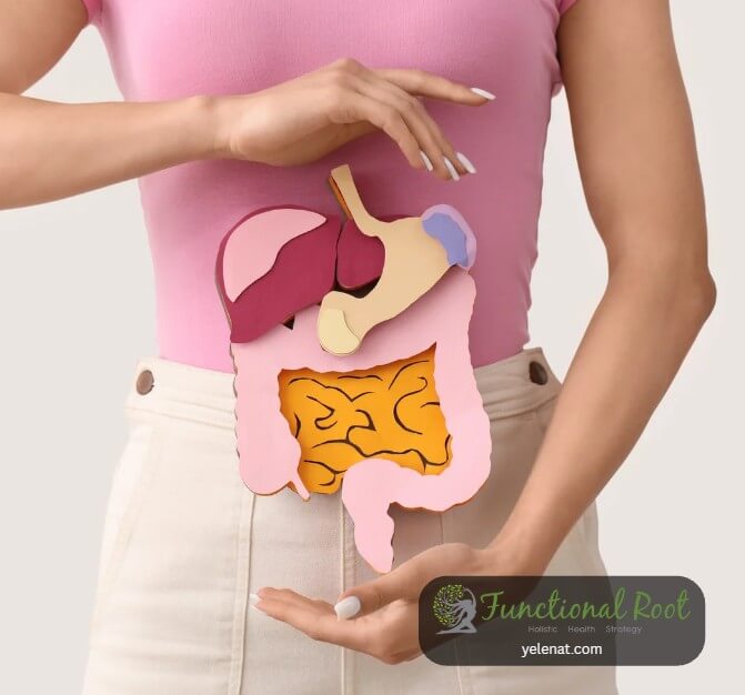 Can Your Body Actually Digest Fat